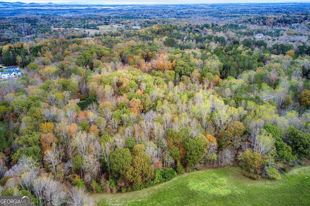 bird's eye view