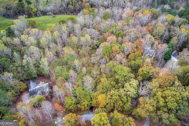 bird's eye view