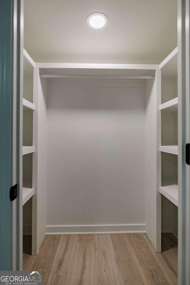 walk in closet with light wood-type flooring