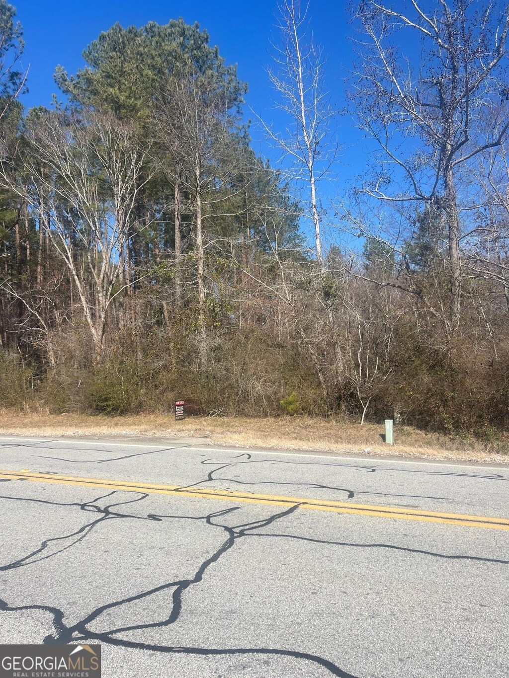 460 W Lee St, Midville, GA 30441