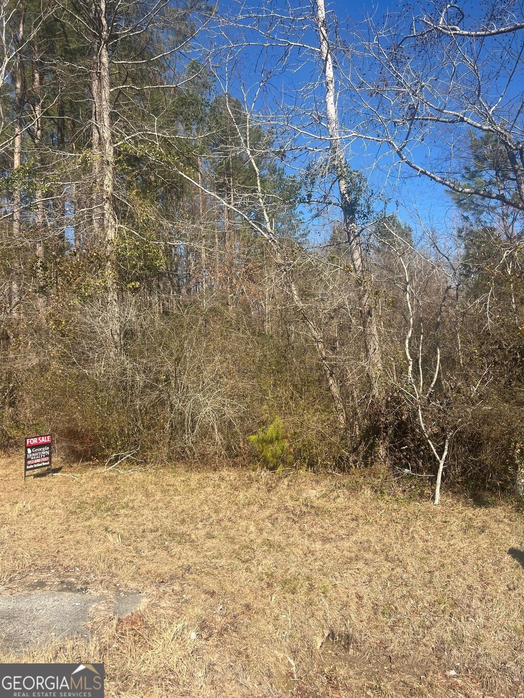 460 W Lee St, Midville, GA 30441