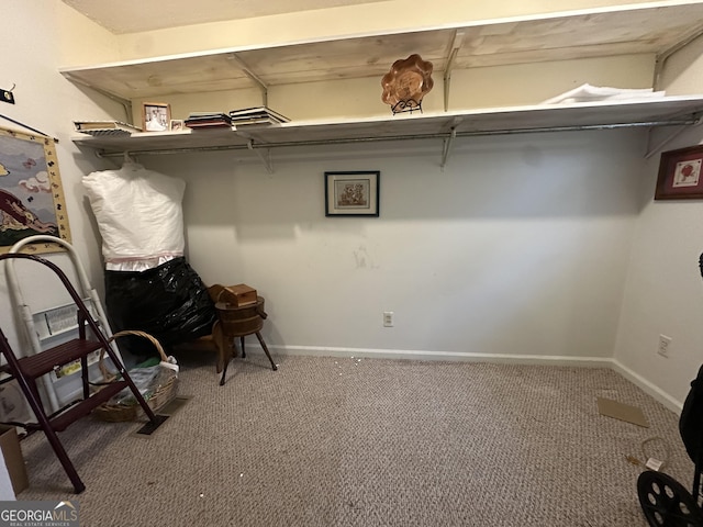 walk in closet featuring carpet floors