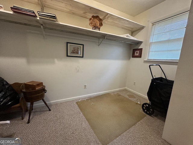 interior space with carpet floors