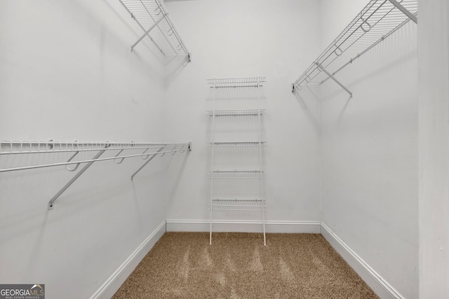 walk in closet with carpet