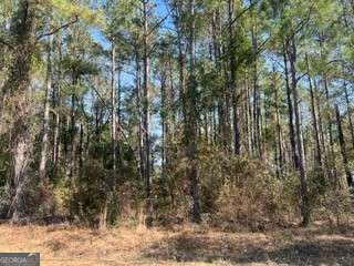 241 Valhalla Rd, Cordele GA, 31015 land for sale