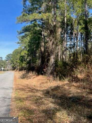 Listing photo 2 for 241 Valhalla Rd, Cordele GA 31015