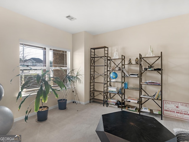 workout room with carpet floors