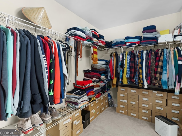 walk in closet featuring light carpet