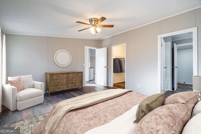 bedroom with dark hardwood / wood-style flooring, a walk in closet, crown molding, and ceiling fan