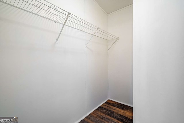 walk in closet featuring dark wood-type flooring