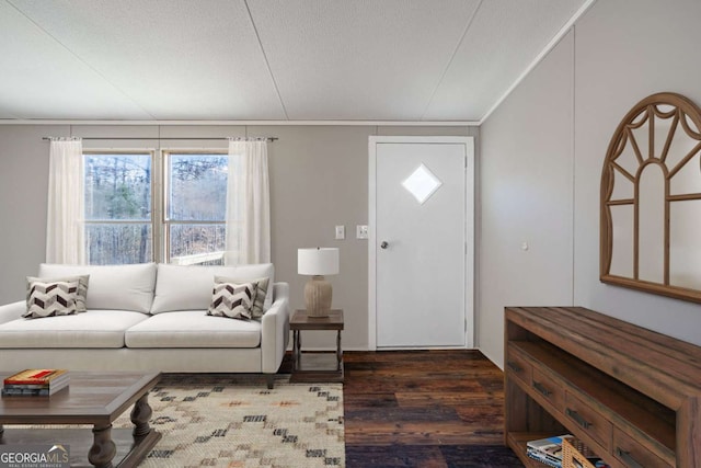 living room featuring dark hardwood / wood-style floors and a textured ceiling