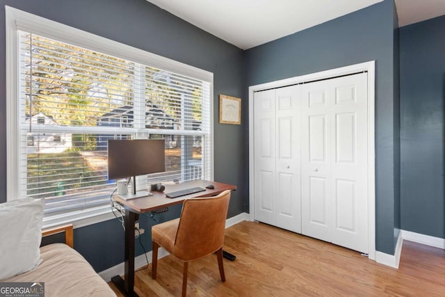 office area featuring light hardwood / wood-style flooring and a healthy amount of sunlight