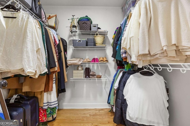 spacious closet with wood-type flooring