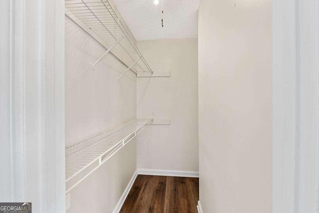 spacious closet featuring dark hardwood / wood-style floors