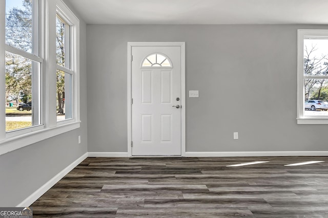 foyer featuring dark wood-type flooring and a healthy amount of sunlight