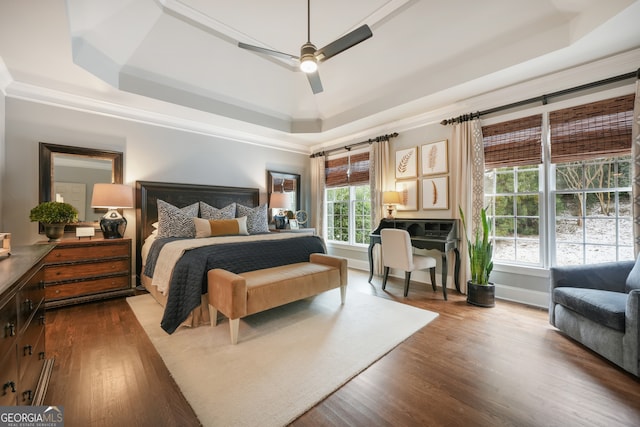 bedroom with a raised ceiling, ceiling fan, and multiple windows