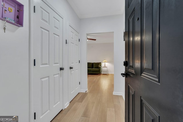 hallway featuring crown molding and light hardwood / wood-style floors