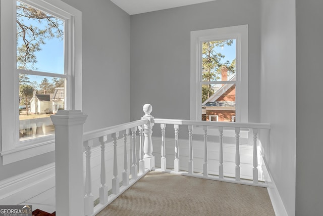 interior space with carpet flooring