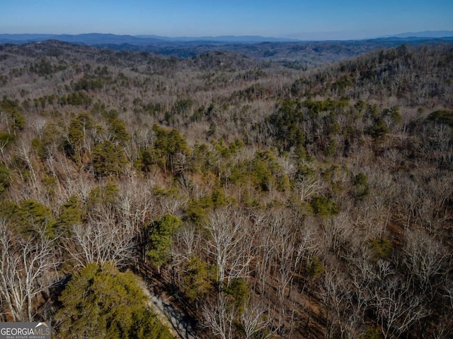 Listing photo 2 for 4.78AC Bell Ct, Ranger GA 30734