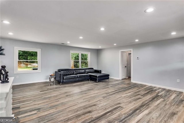 living room featuring hardwood / wood-style floors