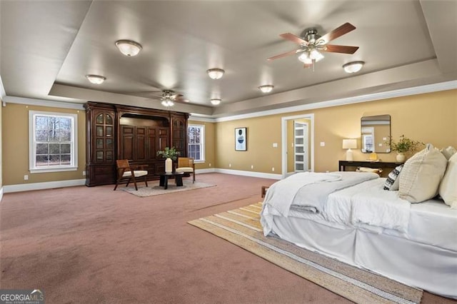 carpeted bedroom featuring a tray ceiling