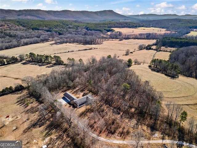 birds eye view of property featuring a mountain view