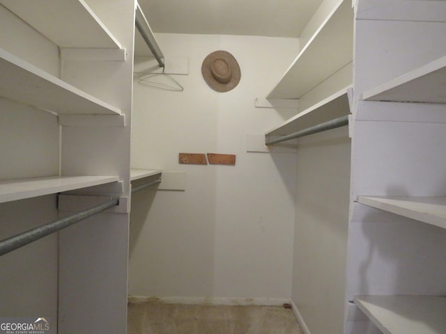 view of spacious closet