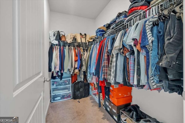 walk in closet featuring carpet flooring