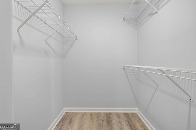 spacious closet featuring wood-type flooring