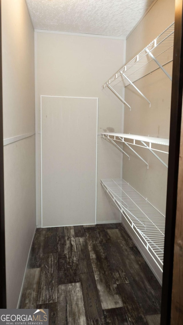 walk in closet featuring wood-type flooring