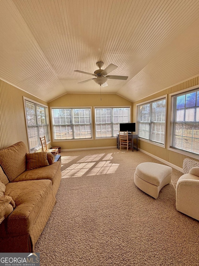 carpeted living room with ceiling fan, lofted ceiling, wooden ceiling, and a wealth of natural light