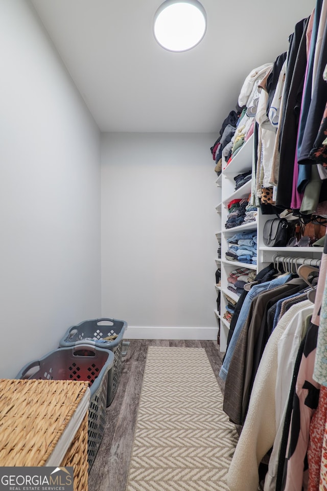 spacious closet featuring wood-type flooring