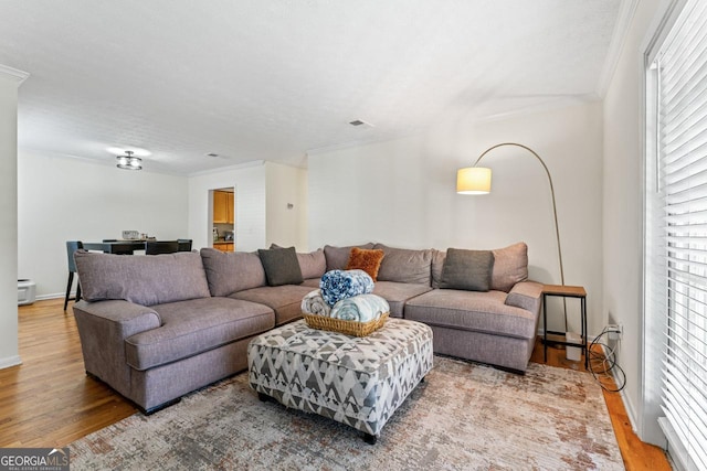 living room featuring ornamental molding and light hardwood / wood-style flooring