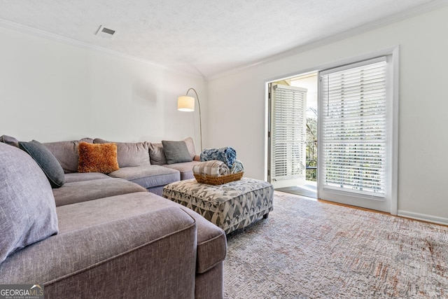 living room with ornamental molding and a textured ceiling