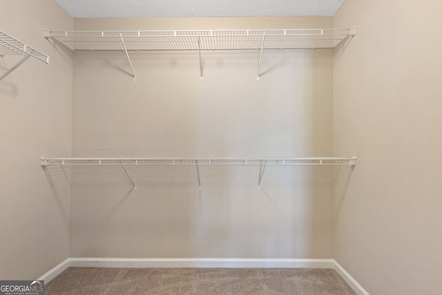 spacious closet with carpet flooring