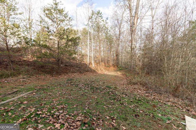 view of local wilderness