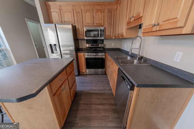 kitchen with appliances with stainless steel finishes, dark hardwood / wood-style floors, and sink