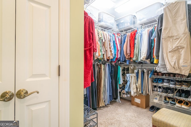 view of spacious closet