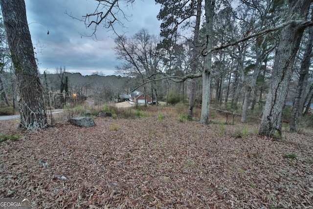 Listing photo 2 for 5840 Little Mountain Dr, Ellenwood GA 30294