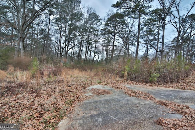 Listing photo 3 for 5840 Little Mountain Dr, Ellenwood GA 30294