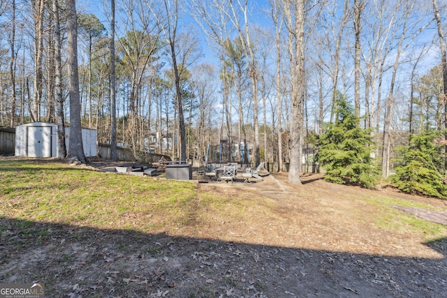 view of yard featuring a shed