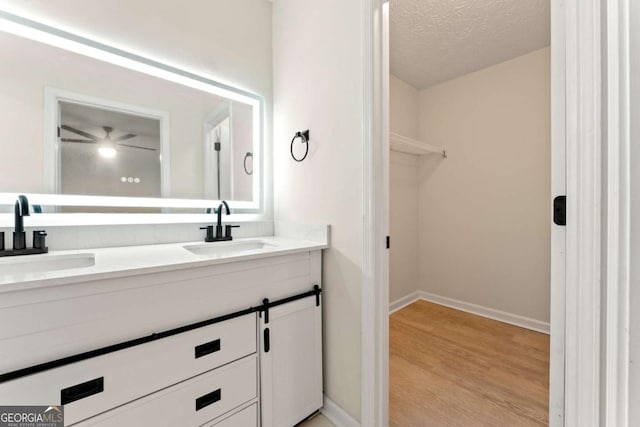 bathroom with vanity, hardwood / wood-style floors, and a textured ceiling