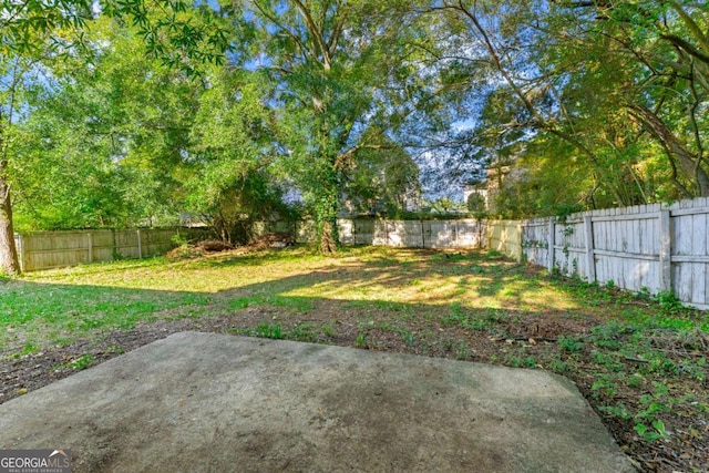 view of yard featuring a patio