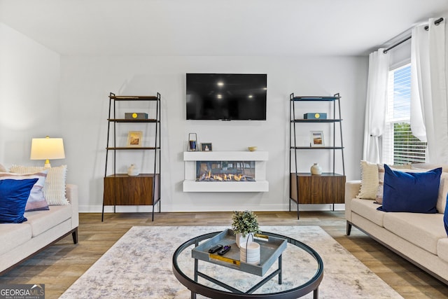 living room with hardwood / wood-style floors