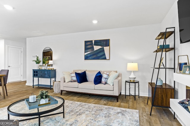 living room featuring wood-type flooring