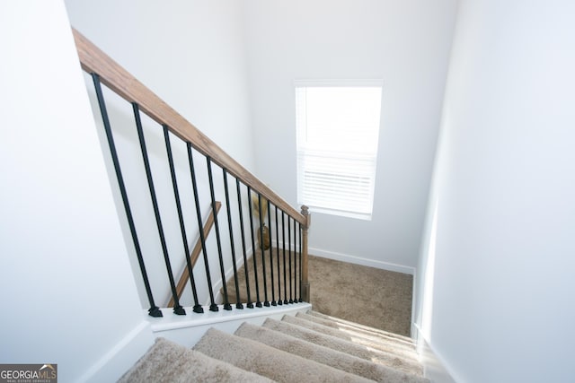 stairs featuring carpet floors