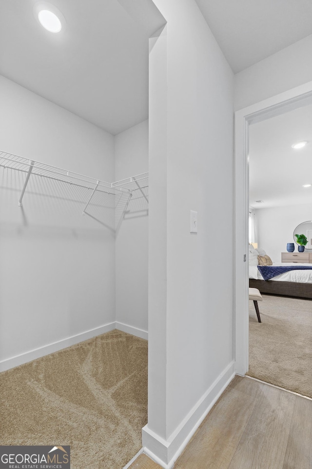 spacious closet featuring wood-type flooring