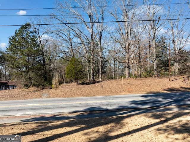 Listing photo 2 for 3309 Panola Rd, Lithonia GA 30038