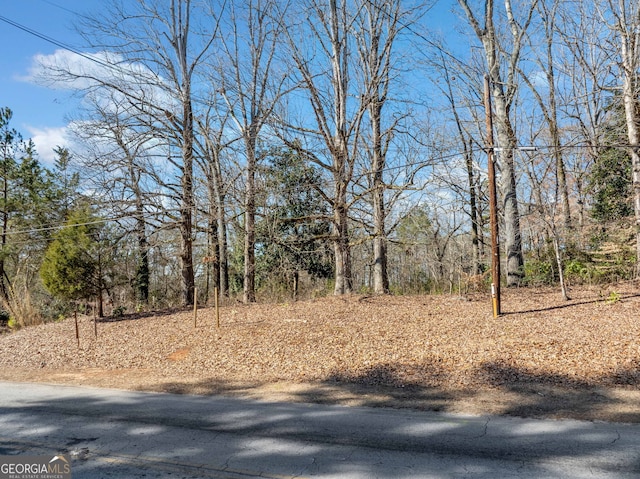 Listing photo 3 for 3309 Panola Rd, Lithonia GA 30038