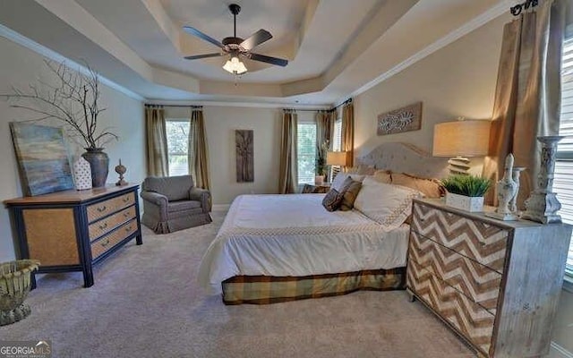 bedroom featuring a raised ceiling, carpet, and ceiling fan